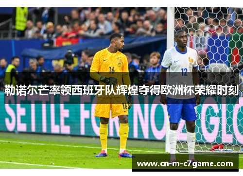 勒诺尔芒率领西班牙队辉煌夺得欧洲杯荣耀时刻 勒诺尔芒率领西班牙队辉煌夺得欧洲杯荣耀时刻